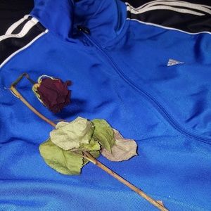 True Blue ® Adidas Warm Up